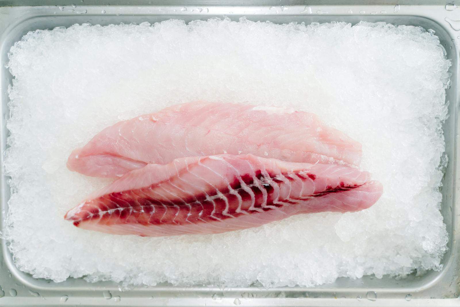 Fish Meat on Ice